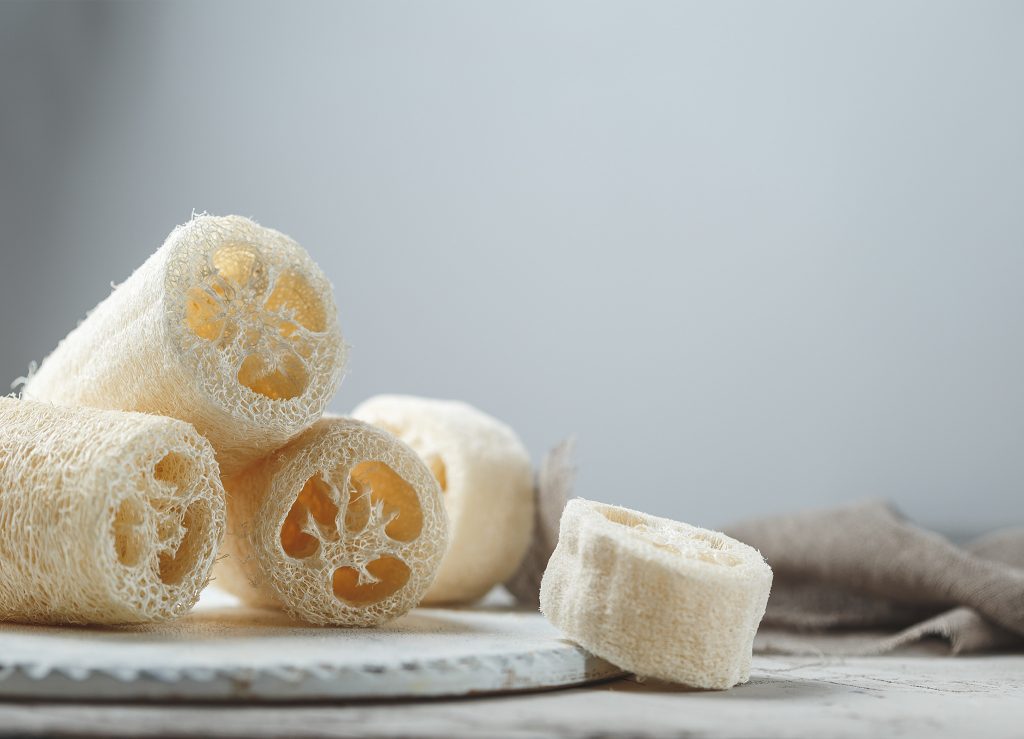 Loofah - Luffa